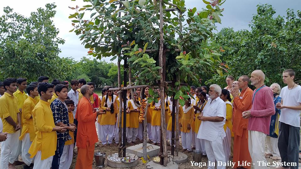 ﻿International Peace Day celebrated by Yoga in Daily Life around the world